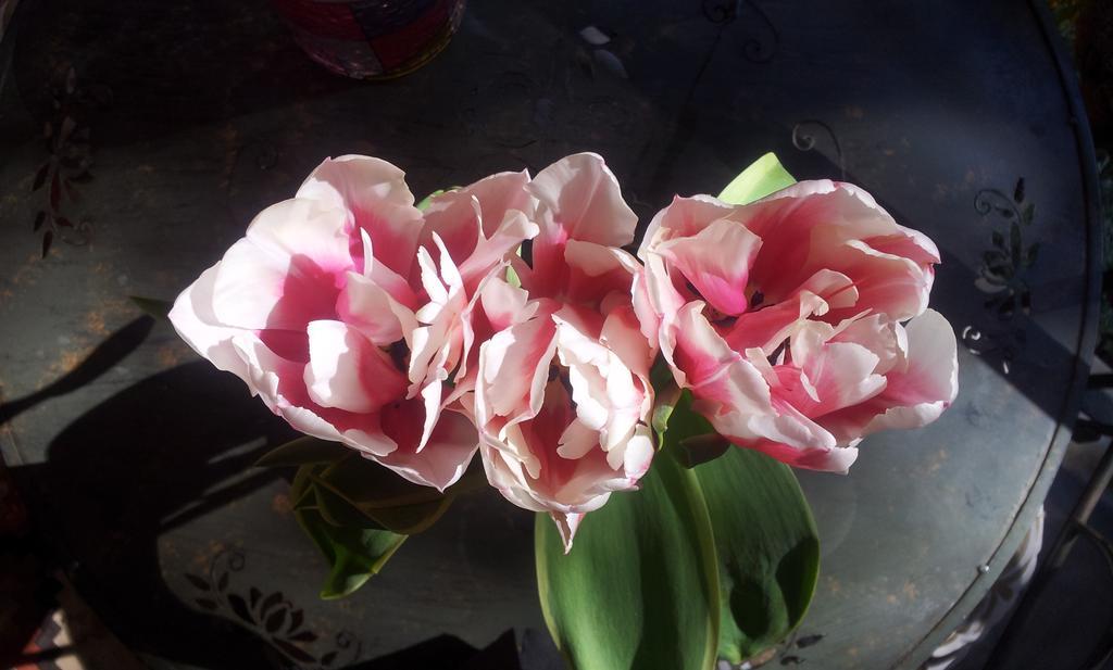 Whatever Art B&B Lisboa Ngoại thất bức ảnh